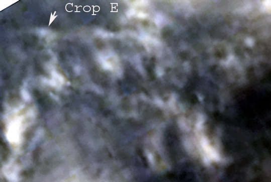 Crop E of Crop H